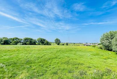 Teren agricol intravilan de 114200 mp, în Chichiș - 3