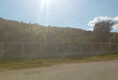 Casă cu 6 camere cu Teren 10000 Mp în Ursoaia - 2