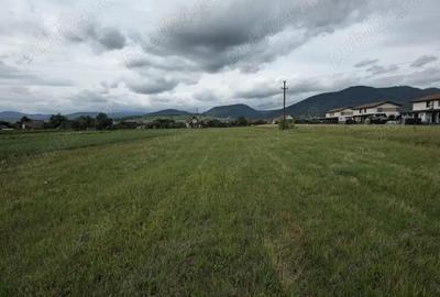 Teren 6630 MP- Zona Rezidentiala - Sat Sasar - Maramures - 1
