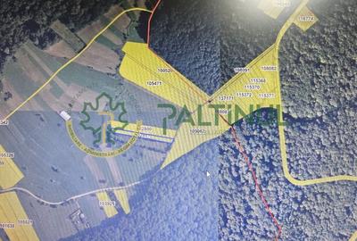 Teren extravilan 2.000 mp – Rășinari, Sibiu - 1