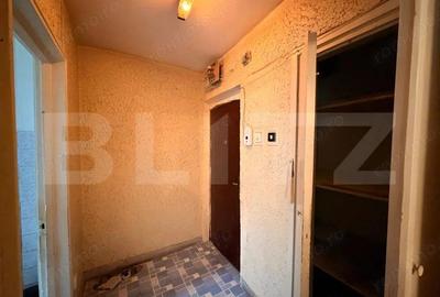 Apartament cu 2 camere decomandat în Brazda lui Novac