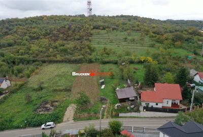 TEREN GENEROS | STR. PIERSICILOR - 2