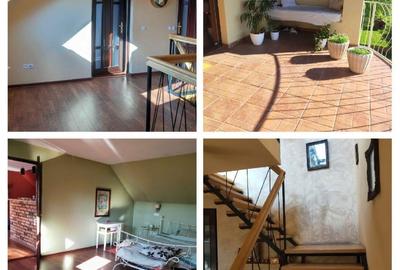 Casă cu 7 camere cu Teren 9800 Mp în Șintereag - 1