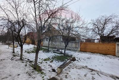 Gospodarie de vanzare in Giulvaz, judetul Timis - 5