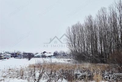 Teren de 5132 mp, în Nord - 3