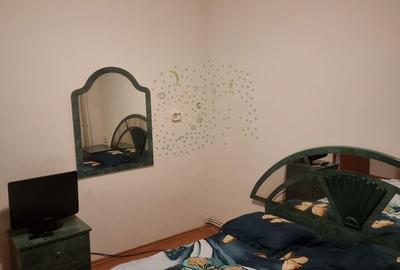 Apartament cu 2 camere decomandat în Craiovița Nouă - 8