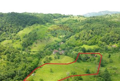 Teren intravilan de vis in Mun?ii Apuseni, curent + izv... - 1