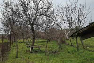 Casă cu 2 camere cu Teren 890 Mp în Podari - 6