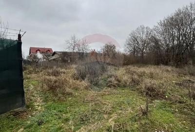 Teren de 1200 mp, în Satu Nou de Jos
