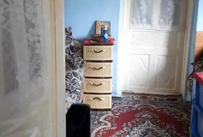 Casă cu 4 camere cu Teren 1122 Mp în Chetrești - 1