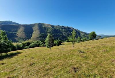 RECO teren extravilan Remeti - 9