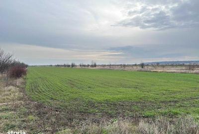 Teren de 545 mp, în Tărtășești - 2