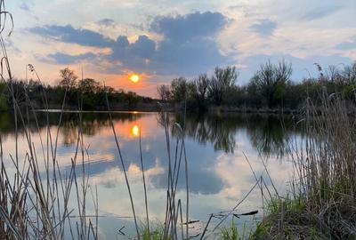 Teren de 1000 mp, în Bălteni - 6