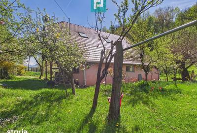 Casă cu 5 camere cu Teren 8000 Mp în Sânmartin - 13