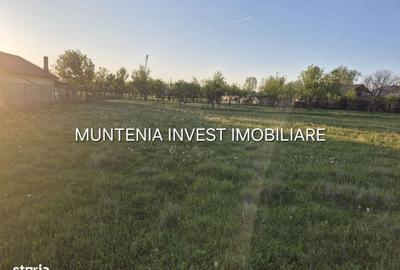 Spațiu comercial, în Poiana Lacului - 3