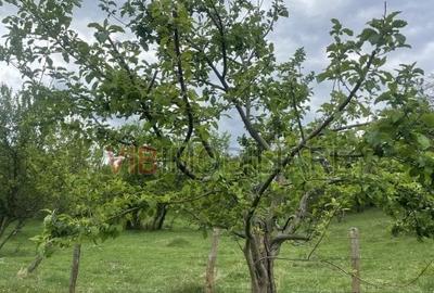 Teren intravilan de 7280 mp, în Mihăești - 9