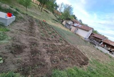 Casă individuală cu 3 camere cu Teren 1580 Mp în Valea Muierii de Jos - 13