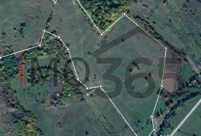 Teren de 150000 mp, în Mihăești - 3