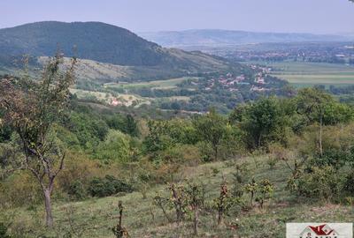 Casa de vanzare cu 47.880 mp teren in Vintu de Jos - Mereteu - 9