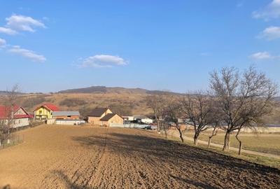 Teren Construcții intravilan de 5000 mp, în Sirețel - 14