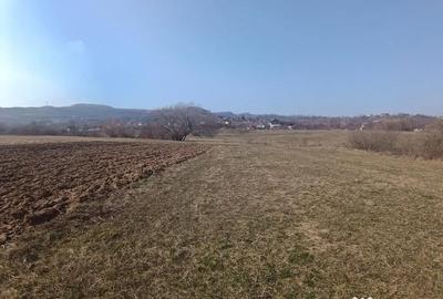 Teren în Remetea Chioarului - 1