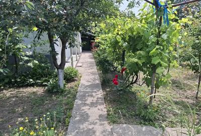 Vand proprietate in comuna Nanesti Vrancea - 7