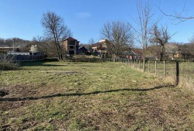 Spațiu comercial, în Tisău - 4