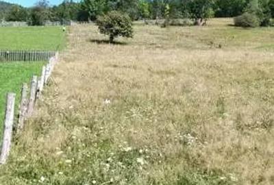 Teren de 2500 mp, în Valea Doftanei