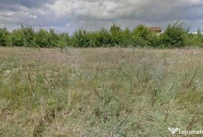 Teren de 5000 mp, în Măgurele - 2