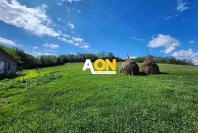 De vanzare 2965 mp teren intravilan, toate utilitatile, Oarda de Sus De vanzare 2965 mp teren intravilan, toate utilitatile, Oarda de Sus - 2