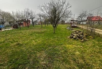SATU NOU DE JOS, casa D+P+E 300mp , cu teren 21ari! - 10