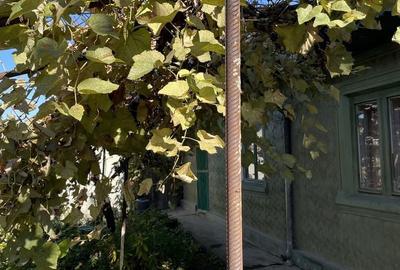 Casă cu 4 camere în Exterior Vest - 7