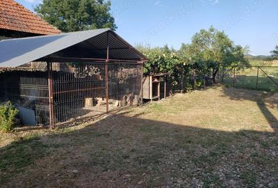 Casa de vanzare - 4