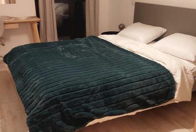 Apartament cu 2 camere decomandat, mobilat în P-ta Presei Libere - 3