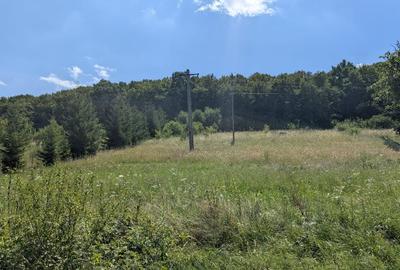 Ocazie! Teren 5.735 mp Poienița, intravilan, utilități, 7.5 €/mp - 5