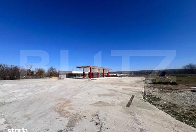Teren de 12500 mp, în Almăj - 4
