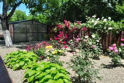 Movilita  (IL) - de vanzare casa 5 cam p+1 - 6