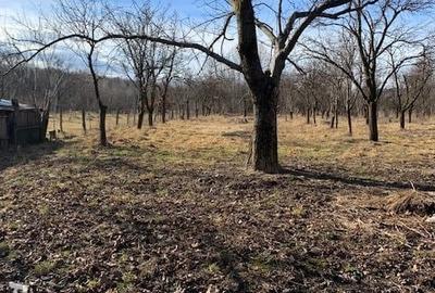 Casă cu 3 camere în Novaci - 8