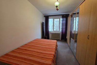 Titan, 10 minute metrou, chiar la intrarea in parcul IOR, pe Lotrioara, - 12