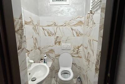 Spatiu comercial ultracentral - 3