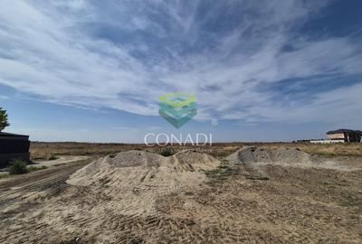 Teren -  Voluntari - zona Matei Millo - 5.607 mp - 3