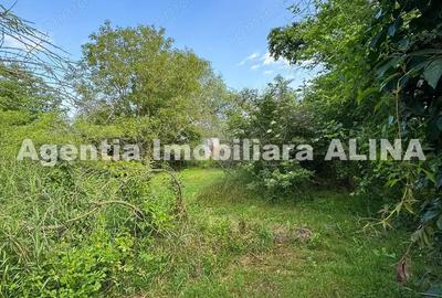 Casa si teren 858mp in Simeria Veche, zona centrala, Jud. Hunedoara. - 8