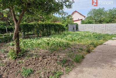 Spațiu comercial, de 603 mp, în Mehala - 29
