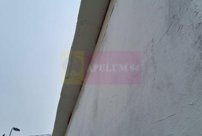 Casă cu 2 camere în Roșu - 7