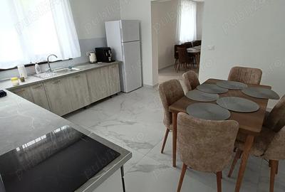 Afacere Vand Schimb Pensiune Vila Noua 400 mp Baile 1 Mai Baile Felix - 3