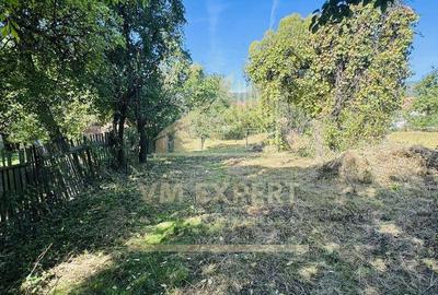 TEREN INTRAVILAN 3234 MP LERE?TI VOINE?TI ARGE? - 7