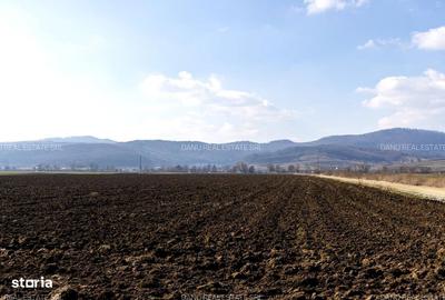 Spațiu comercial, în Vulcan - 15