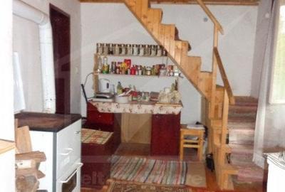 1.6 ha de padure cu poienita, parau la limita curtii, cabana pentru trei familii - 8