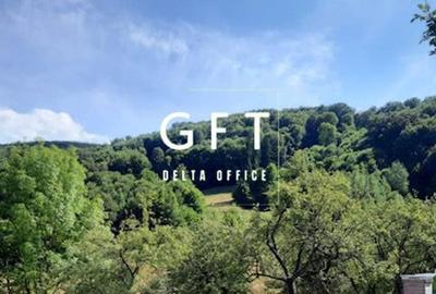 Teren intravila/extravilan, Rebrisoara - 1