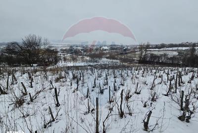 Spațiu comercial, în Central